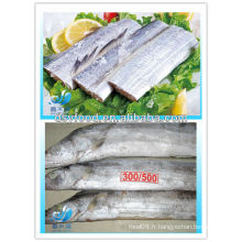 FABRICATION CONGELÉE FISH STEAK / HAIRTAIL STEAK / TOUTES LES RONDES